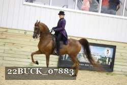 22BUCK_07883 proof