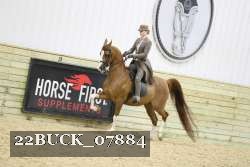 22BUCK_07884 proof