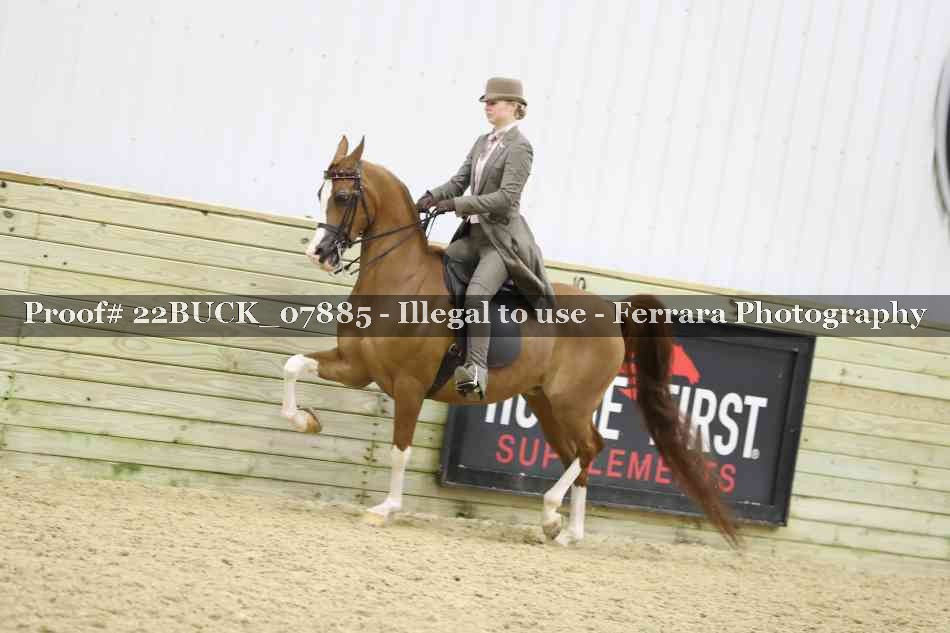 Proof 22BUCK_07885