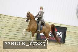 22BUCK_07885 proof