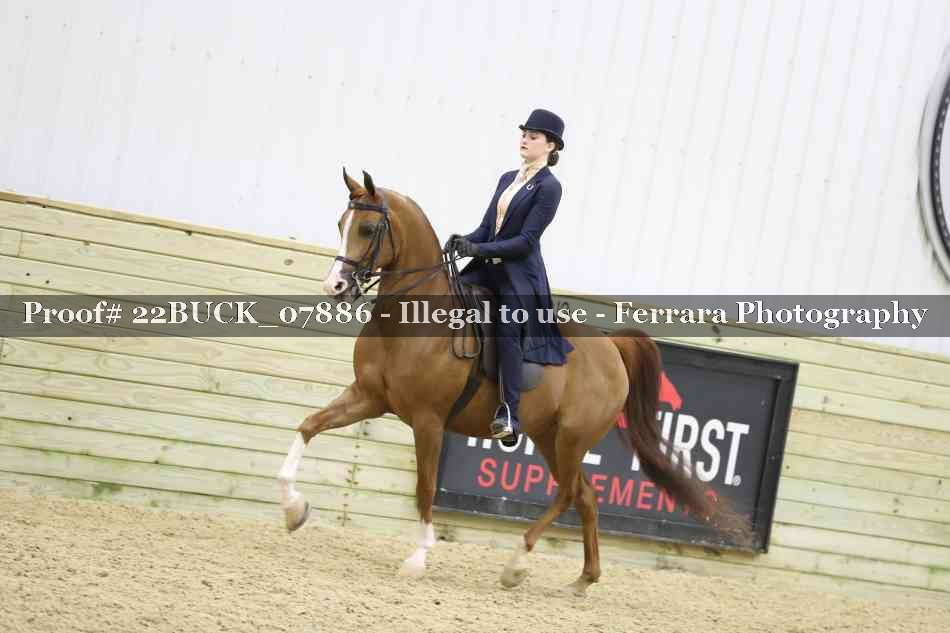 Proof 22BUCK_07886