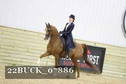 22BUCK_07886 proof