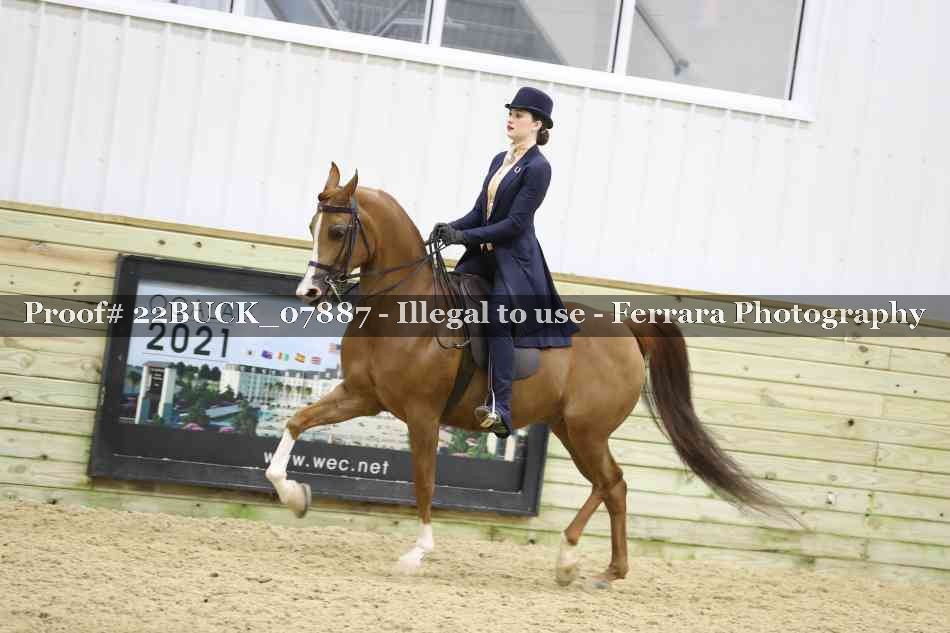 Proof 22BUCK_07887