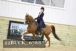 22BUCK_07887 proof