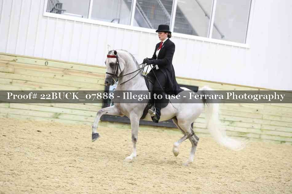 Proof 22BUCK_07888
