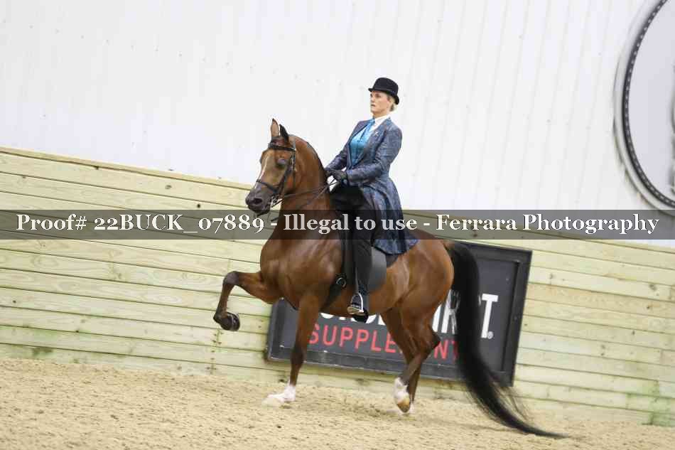 Proof 22BUCK_07889