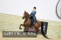 22BUCK_07889 proof