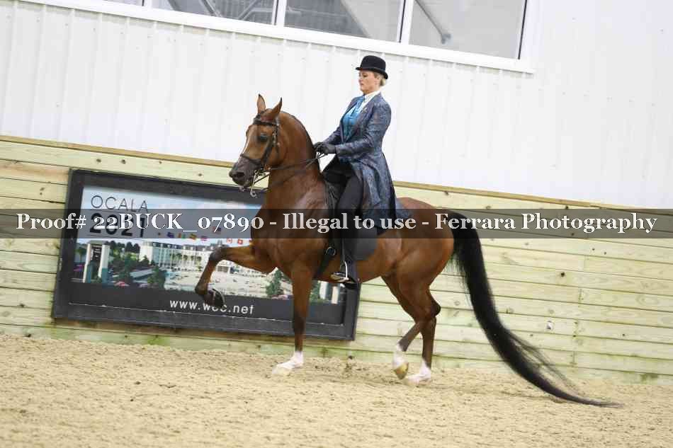 Proof 22BUCK_07890