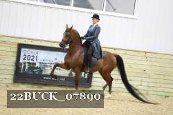 22BUCK_07890 proof
