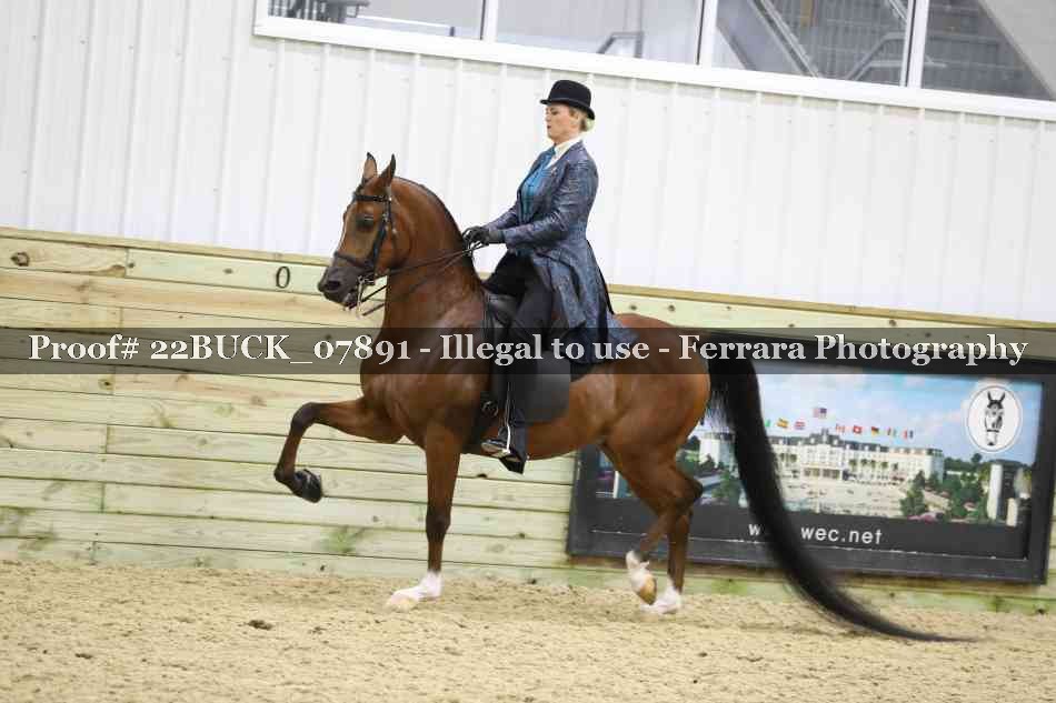 Proof 22BUCK_07891
