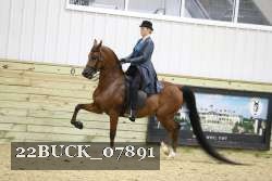 22BUCK_07891 proof