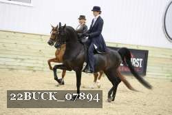 22BUCK_07894 proof