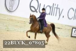 22BUCK_07895 proof
