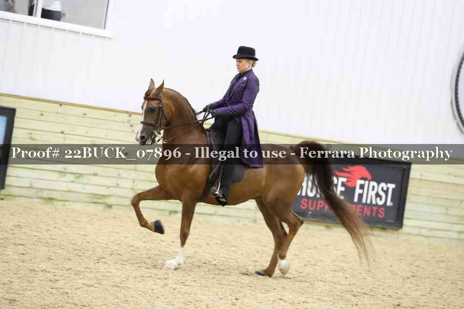 Proof 22BUCK_07896