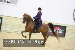 22BUCK_07896 proof