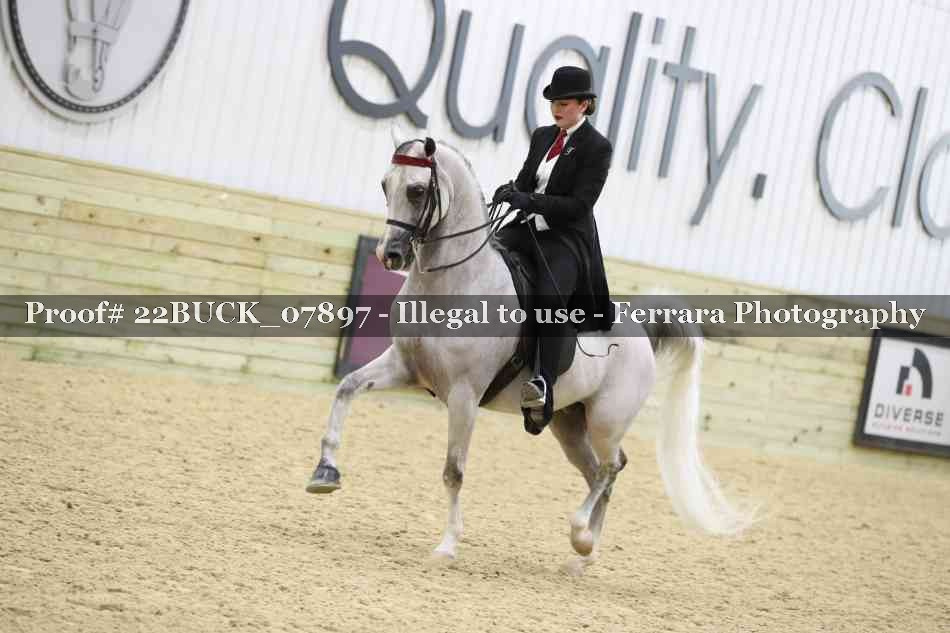 Proof 22BUCK_07897