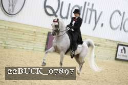22BUCK_07897 proof
