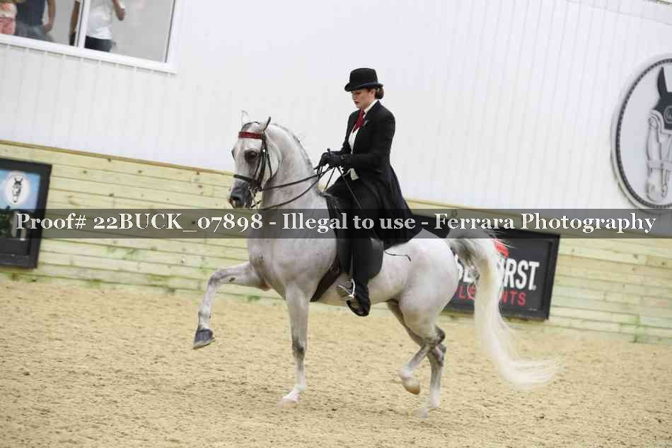 Proof 22BUCK_07898