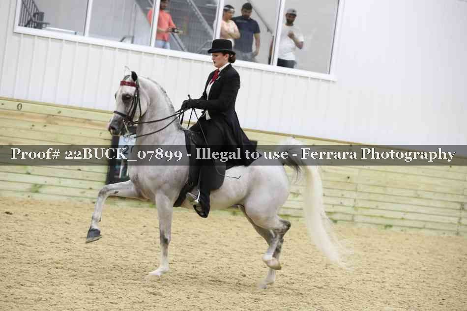 Proof 22BUCK_07899