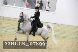 22BUCK_07899 proof