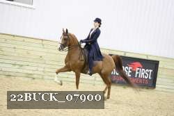 22BUCK_07900 proof