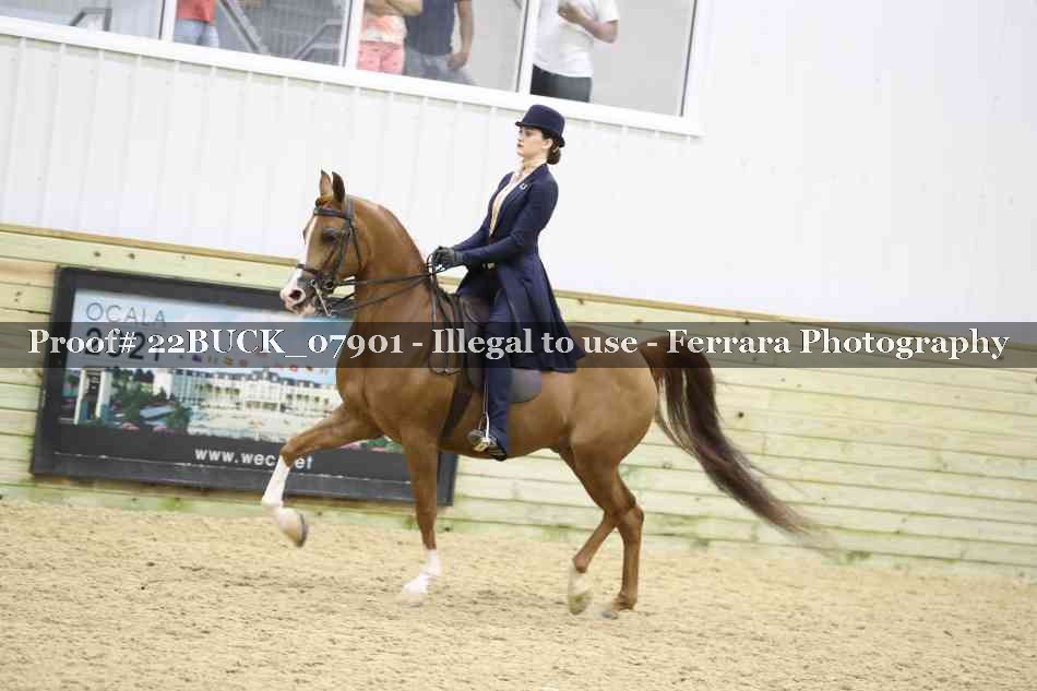 Proof 22BUCK_07901