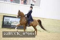 22BUCK_07901 proof