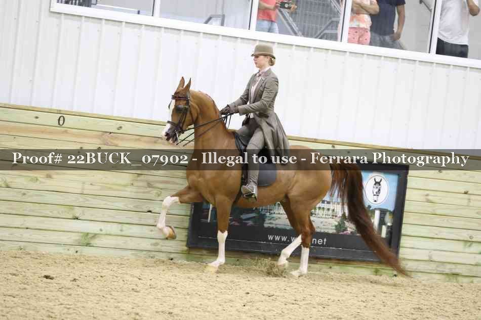 Proof 22BUCK_07902