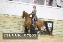 22BUCK_07902 proof