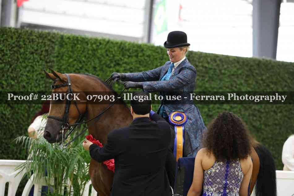 Proof 22BUCK_07903