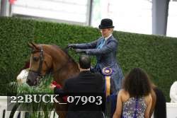 22BUCK_07903 proof