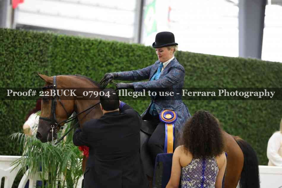 Proof 22BUCK_07904