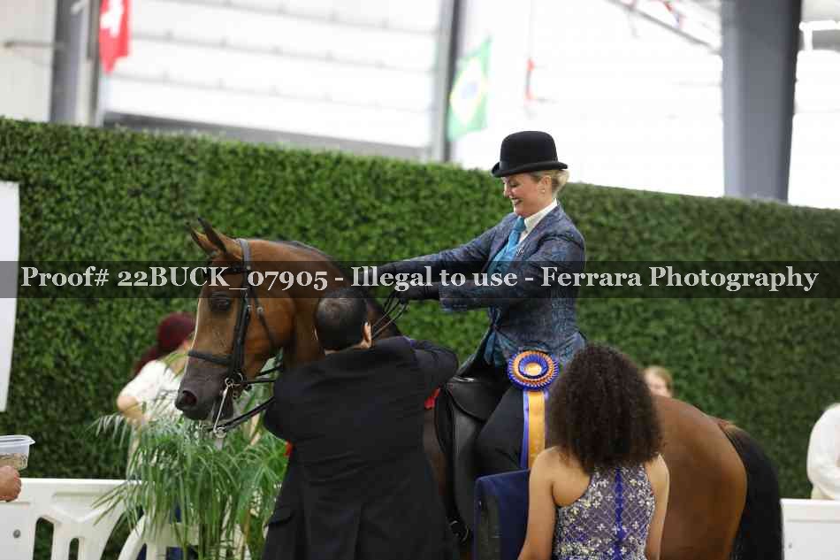 Proof 22BUCK_07905