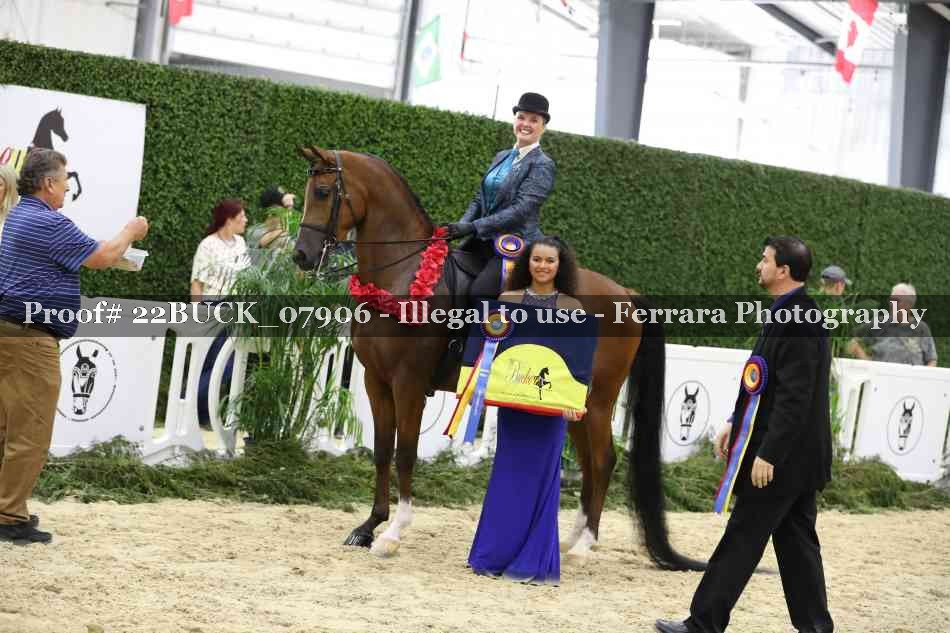 Proof 22BUCK_07906