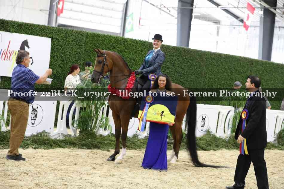 Proof 22BUCK_07907