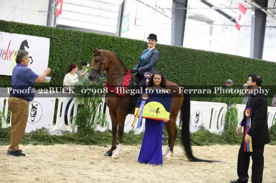 Proof 22BUCK_07908