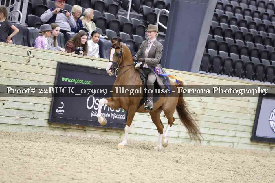 Proof 22BUCK_07909
