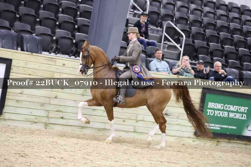 Proof 22BUCK_07910