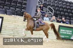 22BUCK_07910 proof