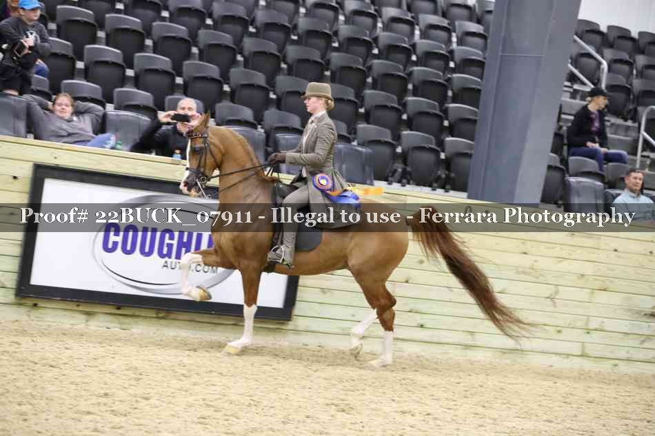Proof 22BUCK_07911