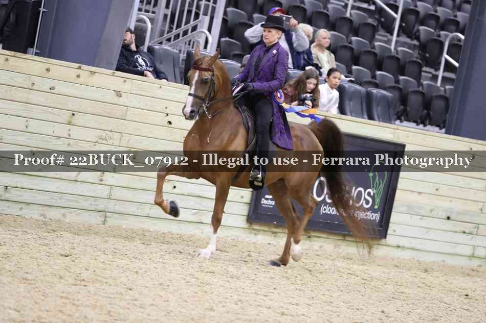 Proof 22BUCK_07912