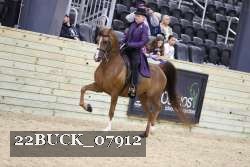 22BUCK_07912 proof