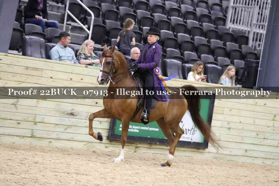 Proof 22BUCK_07913