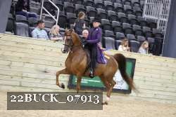 22BUCK_07913 proof