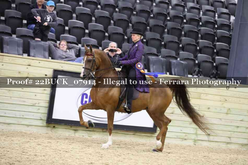 Proof 22BUCK_07914