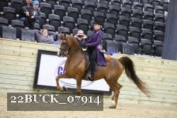 22BUCK_07914 proof