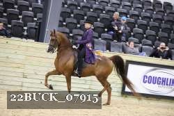 22BUCK_07915 proof