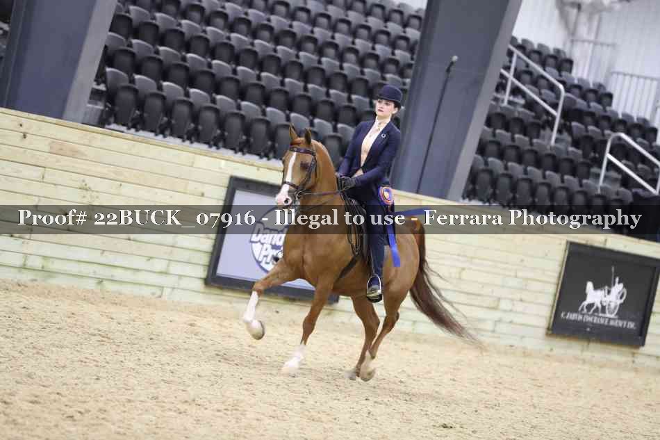 Proof 22BUCK_07916