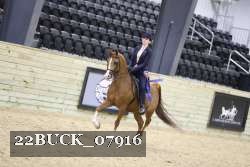 22BUCK_07916 proof