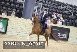 22BUCK_07917 proof